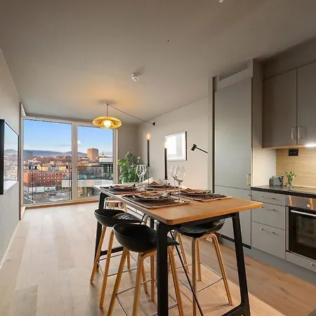 Stylish & Modern 3-room On The 9th Floor In Tjuvholmen 公寓 奥斯陆